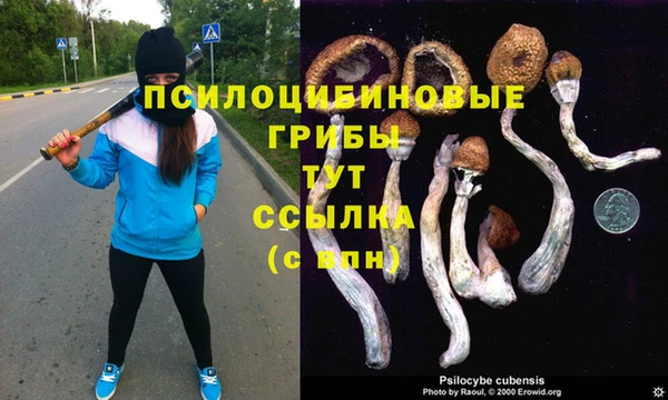 не бодяженный Козловка