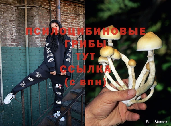 не бодяженный Козловка