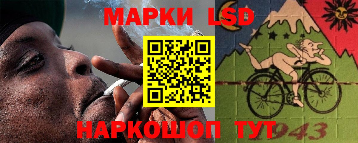 Галлюциногенные грибы Нягань