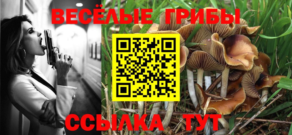 Галлюциногенные грибы MAGIC MUSHROOMS  Вход с VPN  Нягань  Псилоцибиновые грибы мухоморы 
