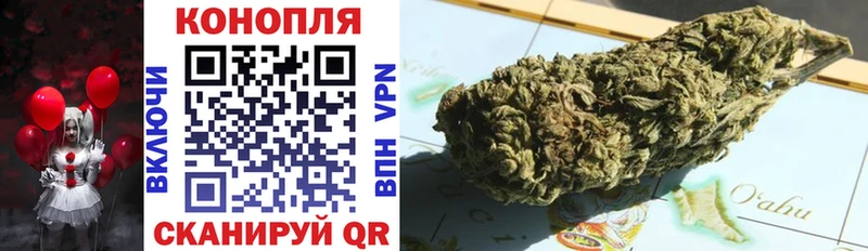 Каннабис сатива  Нягань 